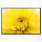 Designart - Yellow Chrysanthemum Gold Flower - Flower Artwork on Canvas in Black Frame